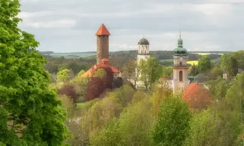 Gastronomiereinigung in Auerbach/Vogtland